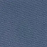 сизая