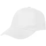белая