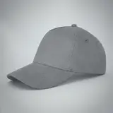 серый